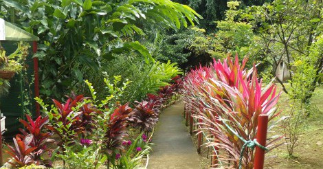 Jardin de Bonneville à La Trinité - Crédit Photo: Office de Tourisme de La Trinité
