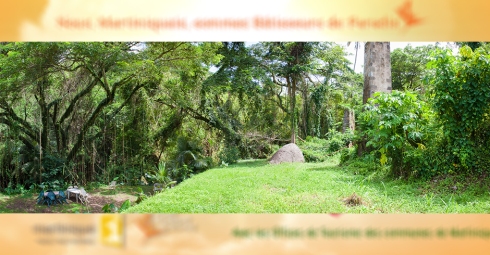 Le Domaine de fonds moulin au Morne-vert en Martinique Paradis Tour Bâtisseur de Paradis
